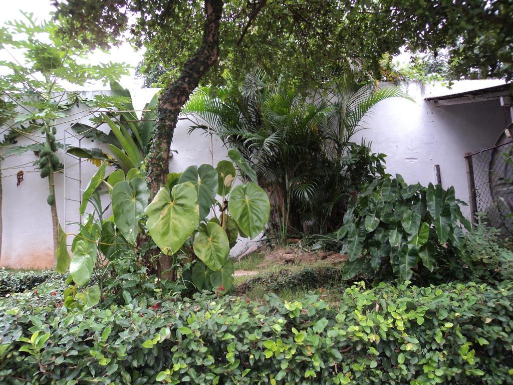 Iguassu Central Flats Foz do Iguaçu Extérieur photo